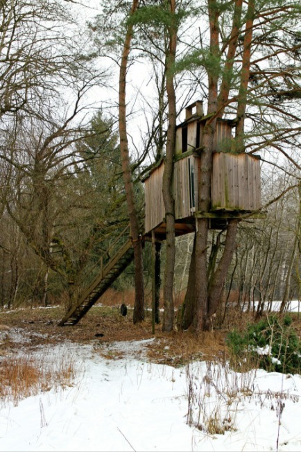 treehouse-255518_1280.jpg